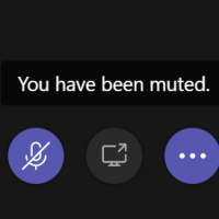 YOU ARE MUTED!